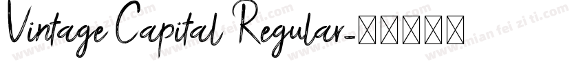 Vintage Capital Regular字体转换